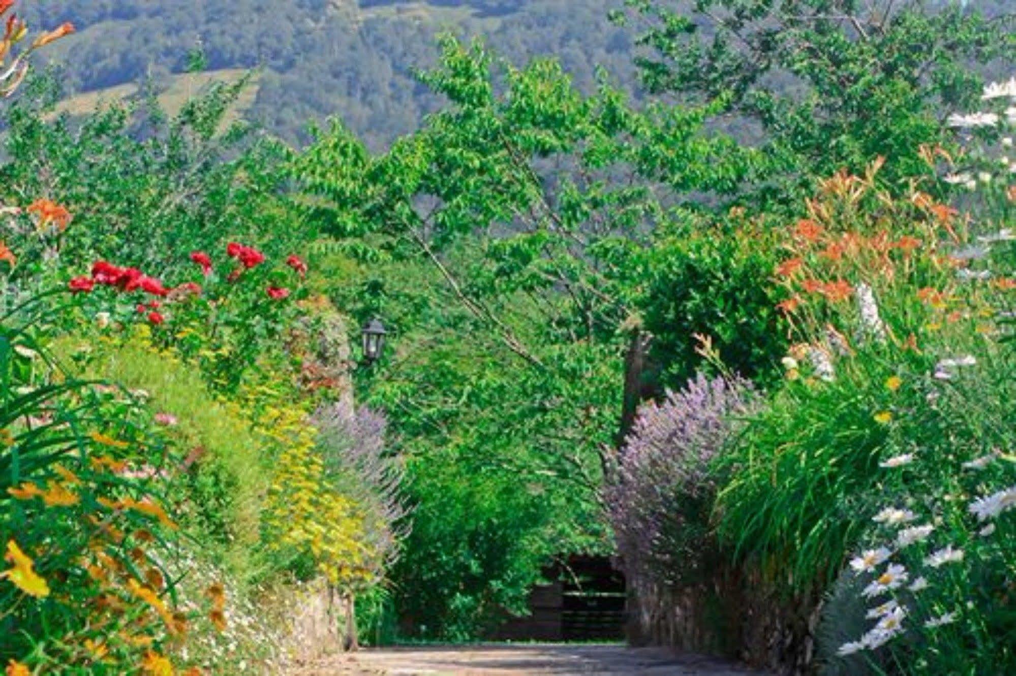 Maison Chilo Barcus Esterno foto